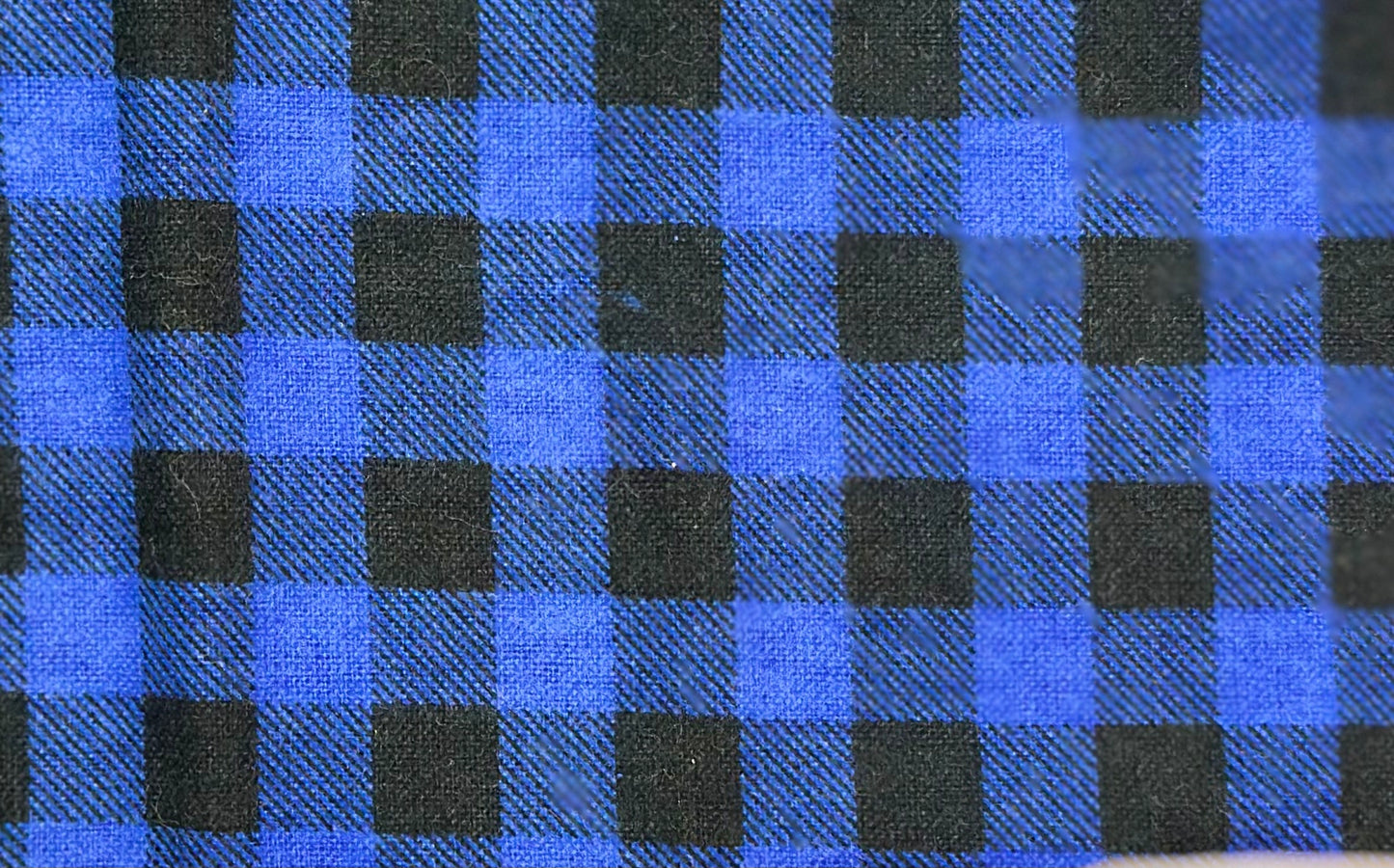 Blue and Black Plaid